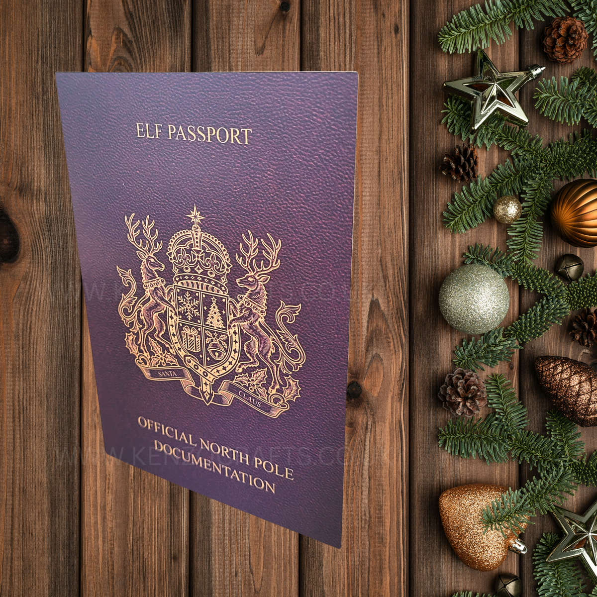 Personalised Christmas Elf Story Package